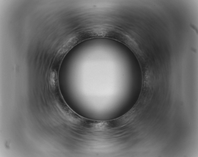 X0000102820122200808181254