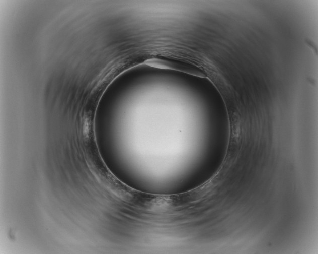 X0000102820124200808181254