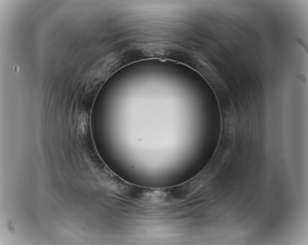 X0000102820125200808181254