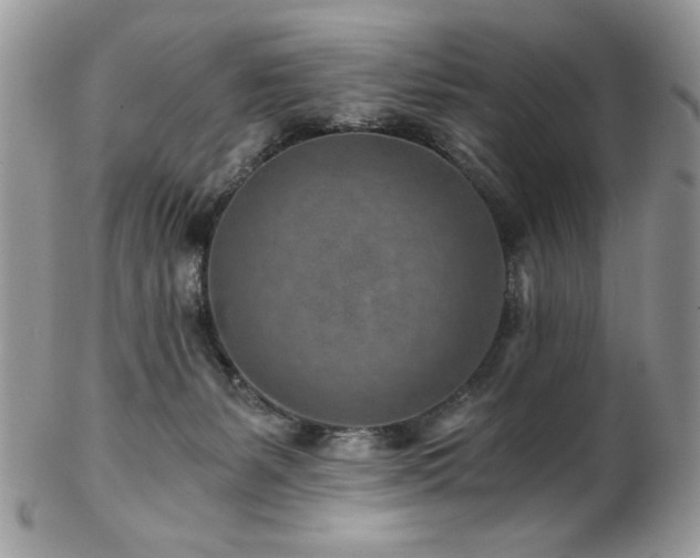 X0000102820127200808181254