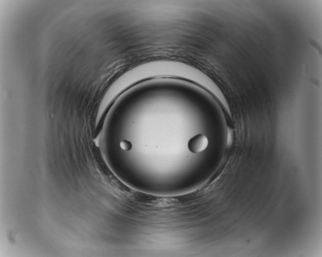 X0000102820128200808181254