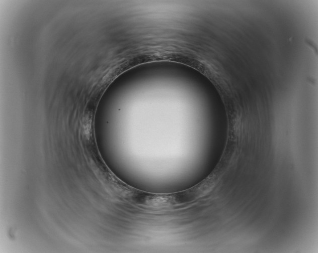 X0000102820129200808181254
