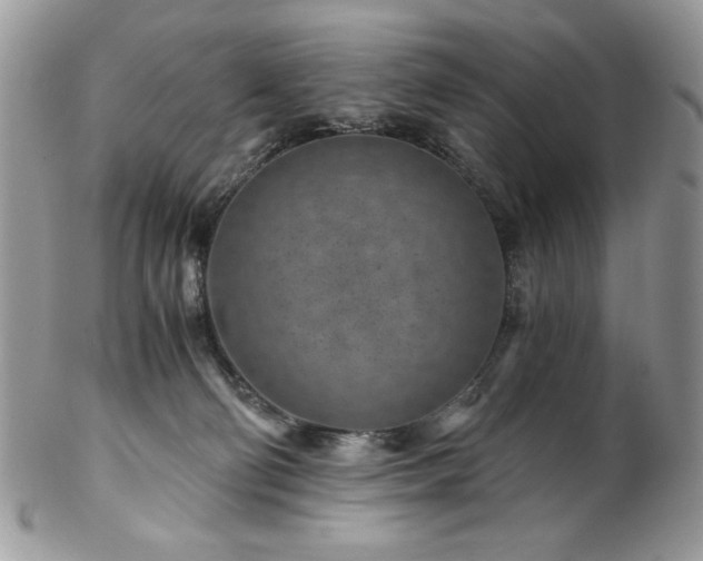 X0000102820130200808181254