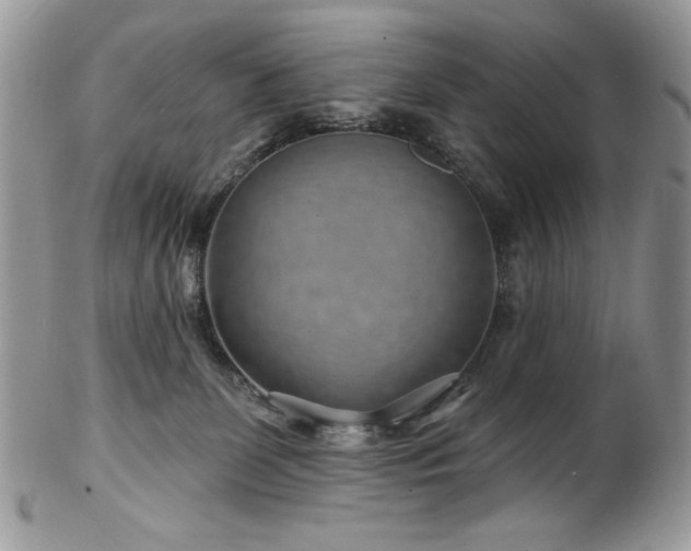 X0000102820131200808181254