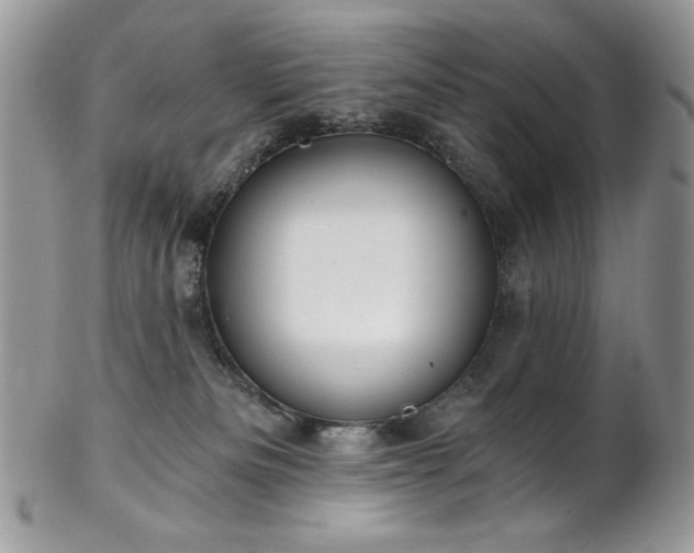 X0000102820133200808181254