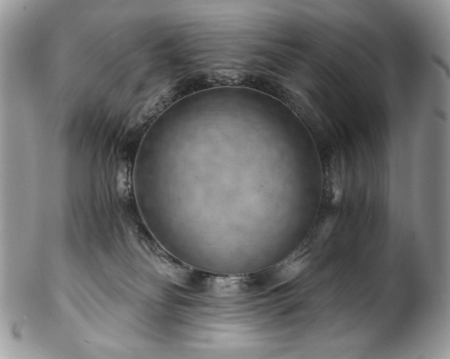 X0000102820134200808181254