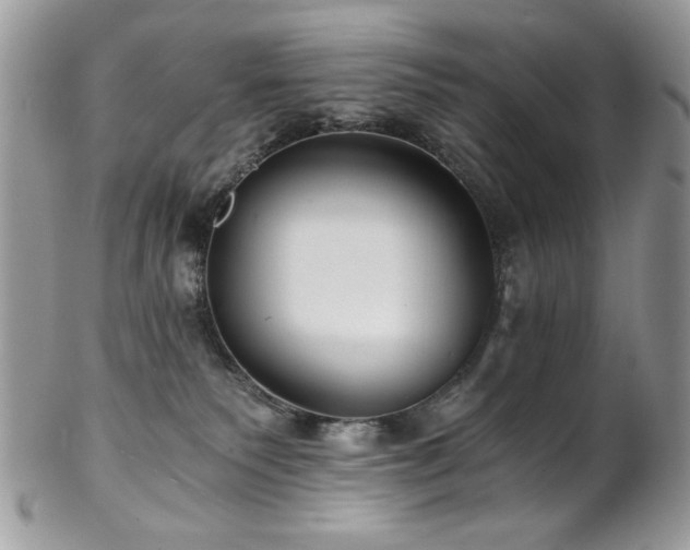 X0000102820135200808181254