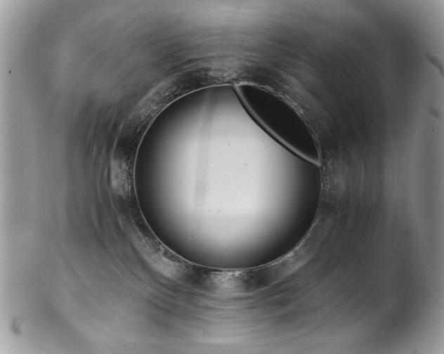 X0000102820136200808181254