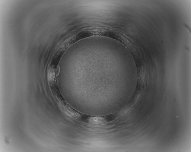 X0000102820137200808181254