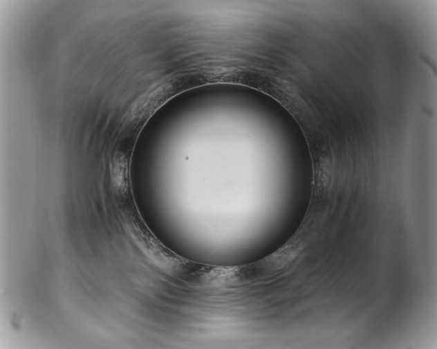 X0000102820138200808181254