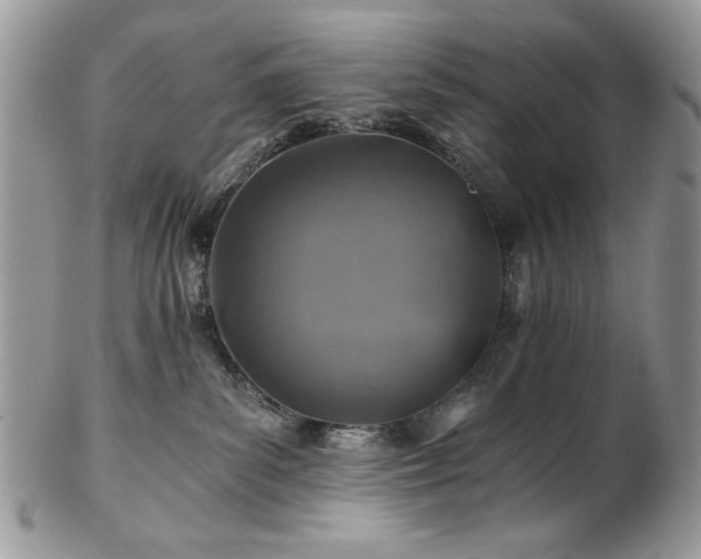X0000102820139200808181254