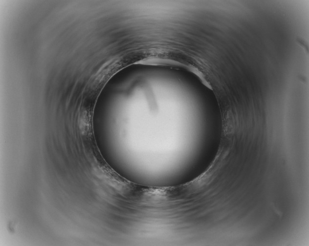 X0000102820140200808181254