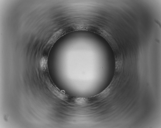 X0000102820142200808181254