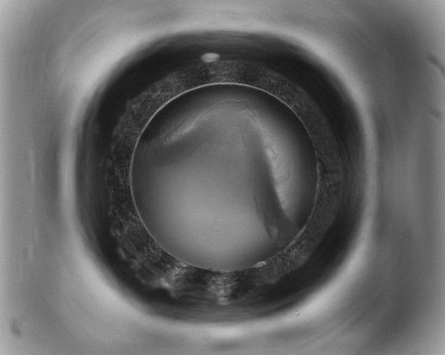 X0000102820143200808181254
