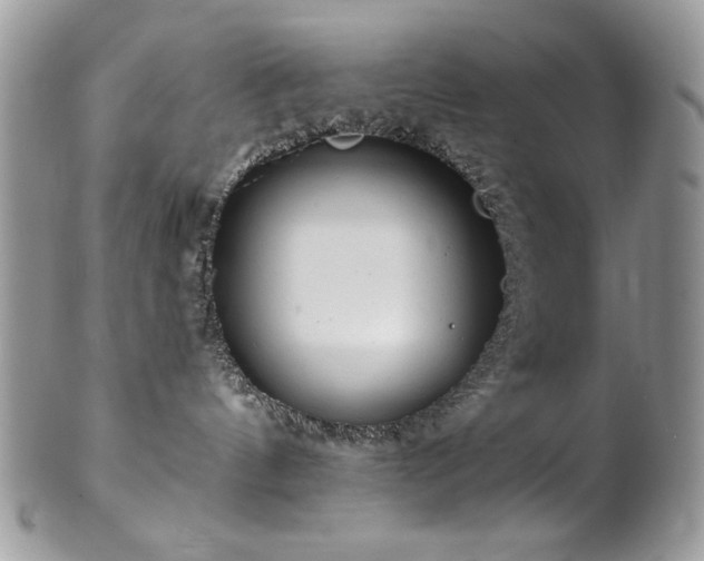 X0000102820144200808181254
