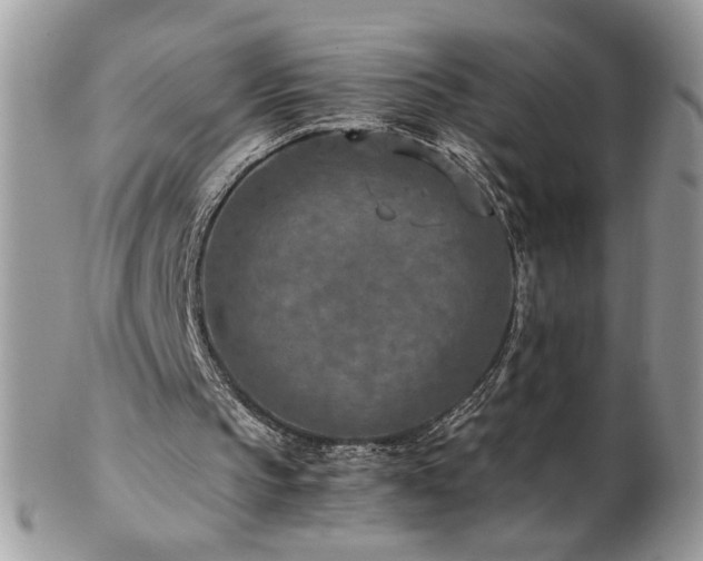 X0000102820145200808181253