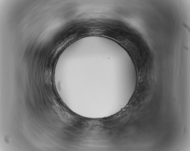 X0000102820146200808181253