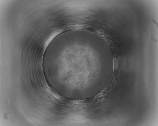X0000102820147200808181253