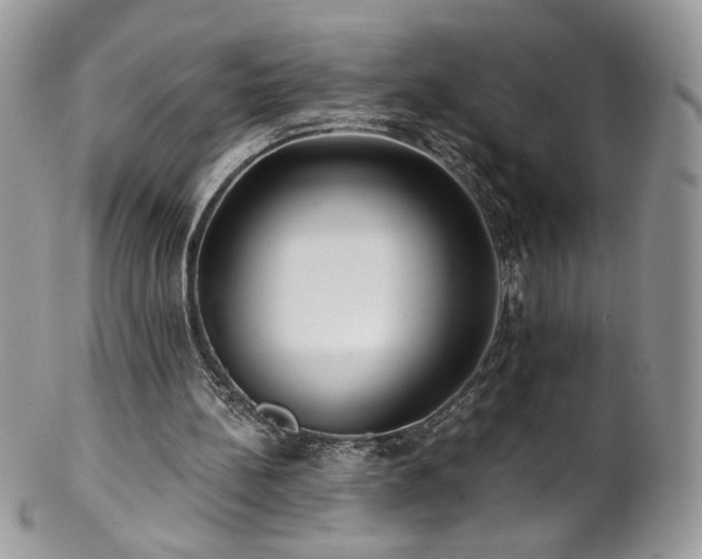 X0000102820148200808181254
