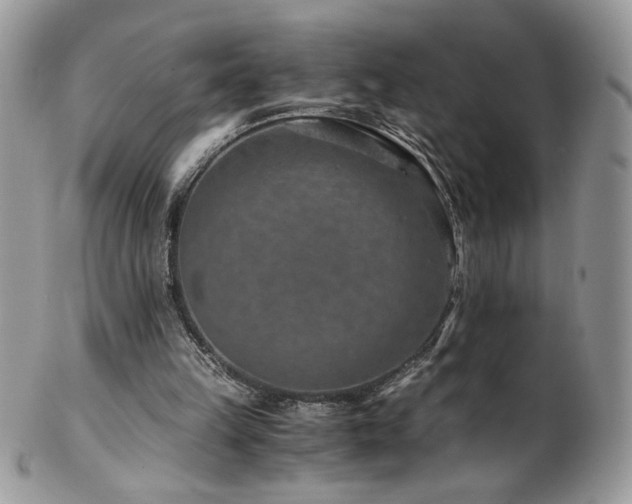 X0000102820149200808181254