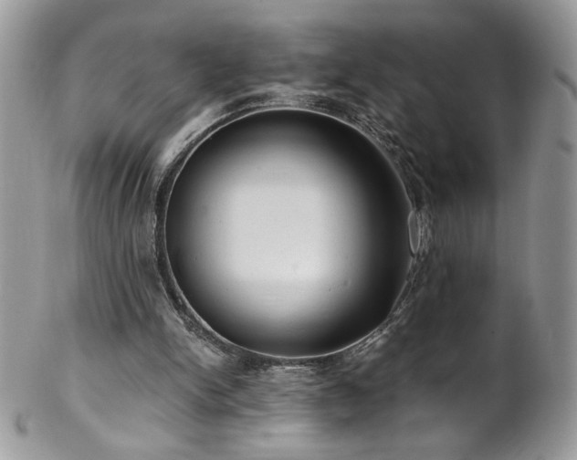X0000102820150200808181254