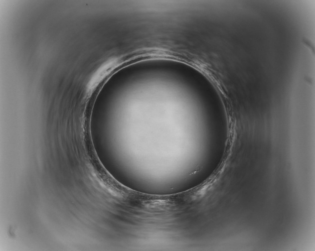 X0000102820151200808181254