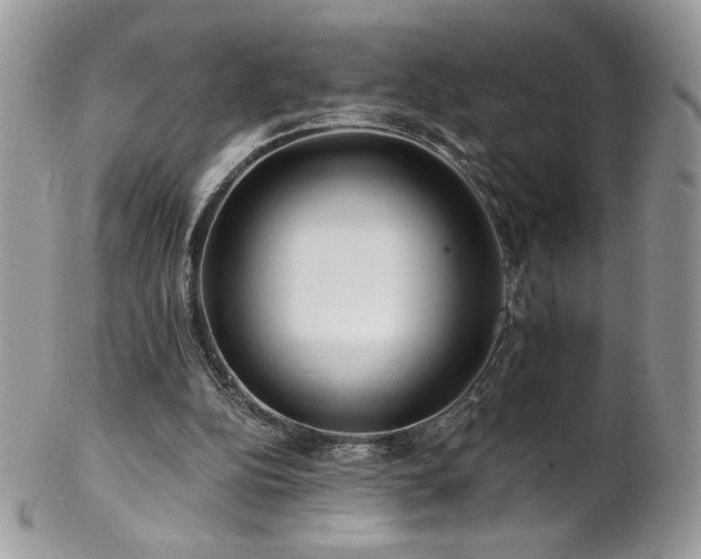 X0000102820152200808181254