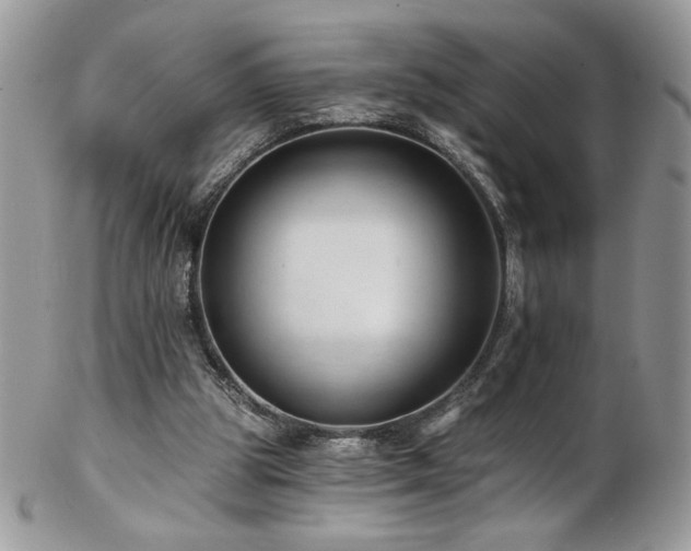 X0000102820153200808181254