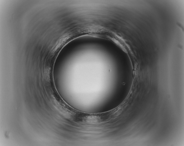 X0000102820154200808181254