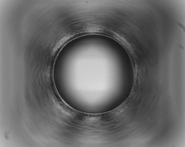 X0000102820155200808181254