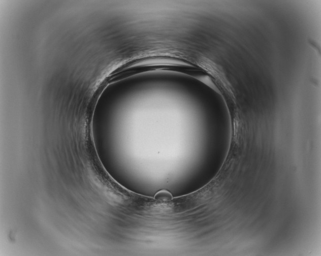 X0000102820156200808181254