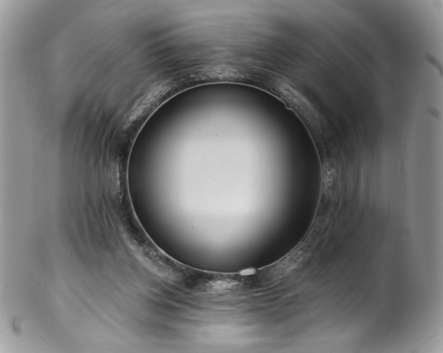 X0000102820158200808181254