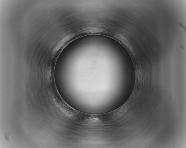 X0000102820159200808181254