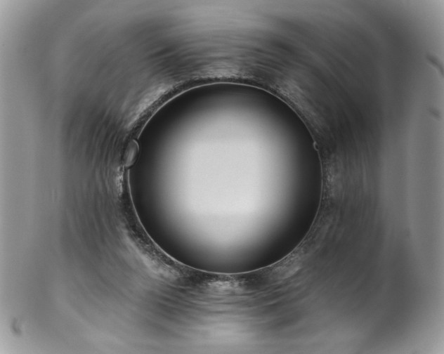 X0000102820160200808181254