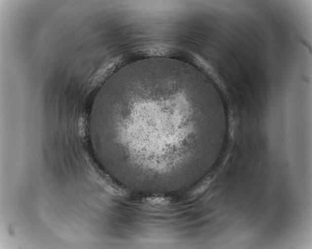 X0000102820161200808181254