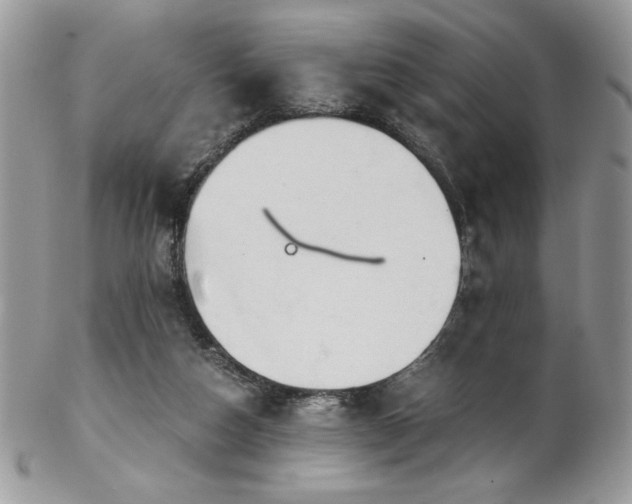 X0000102820162200808181254