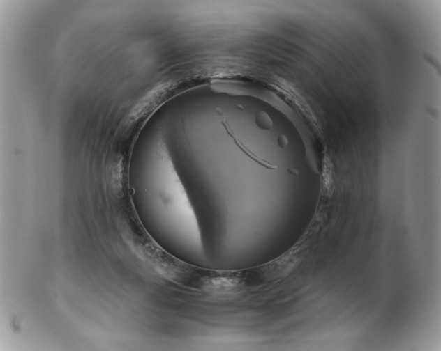 X0000102820163200808181254