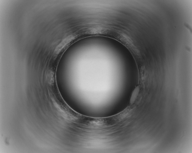 X0000102820164200808181254