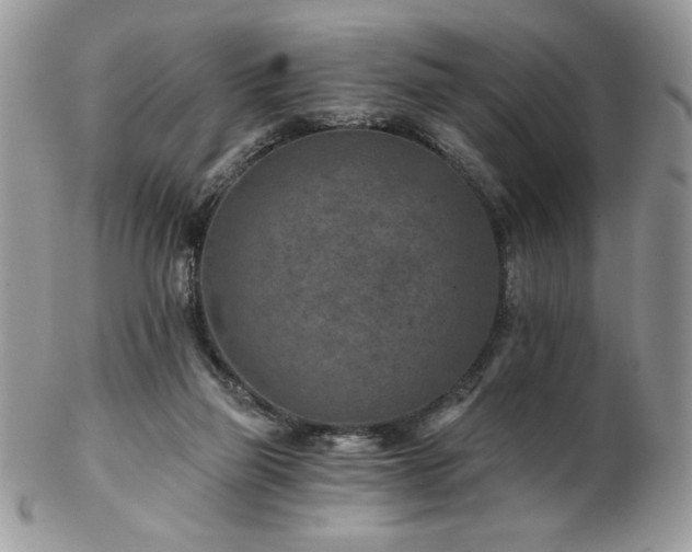 X0000102820165200808181254