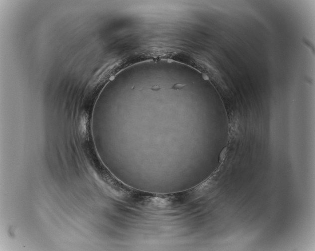 X0000102820166200808181254