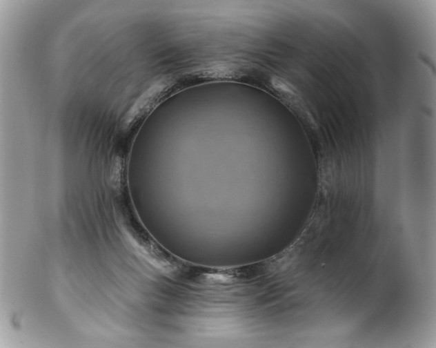X0000102820167200808181254
