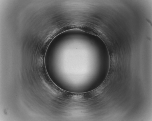 X0000102820168200808181254