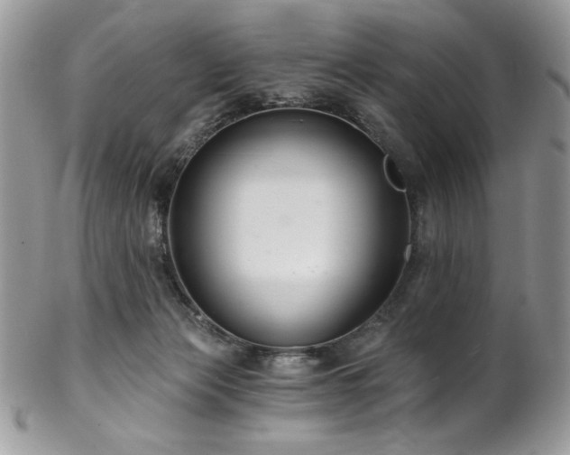 X0000102820173200808181254