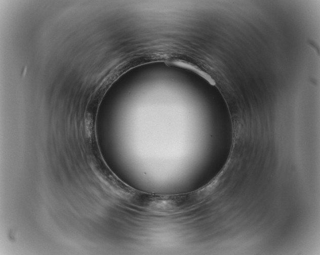 X0000102820174200808181254