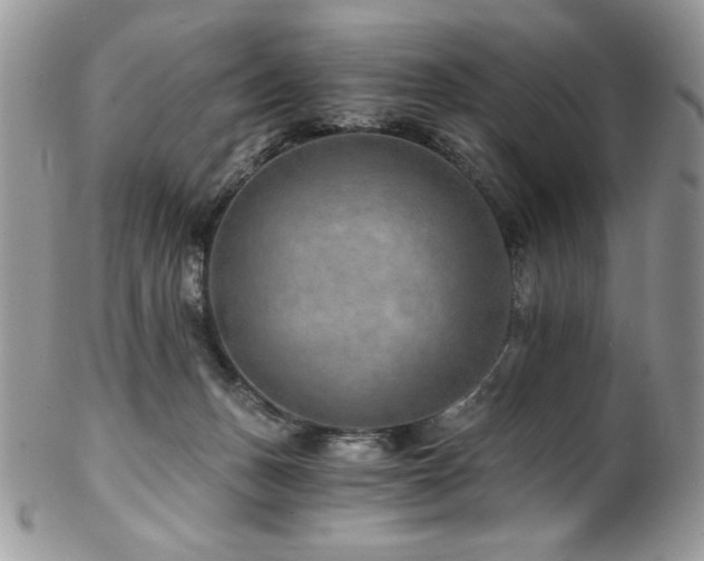 X0000102820175200808181254