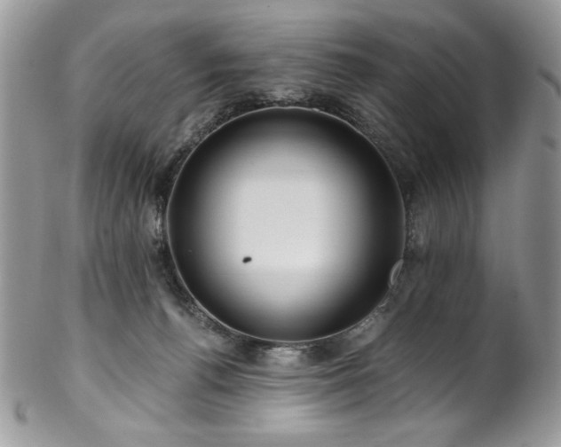 X0000102820176200808181254