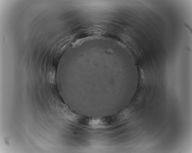X0000102820177200808181254