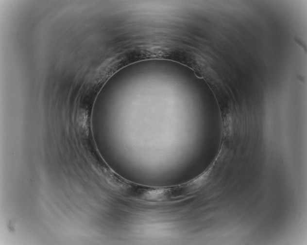 X0000102820178200808181254