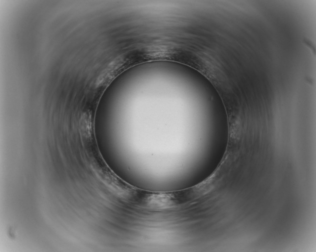 X0000102820179200808181254