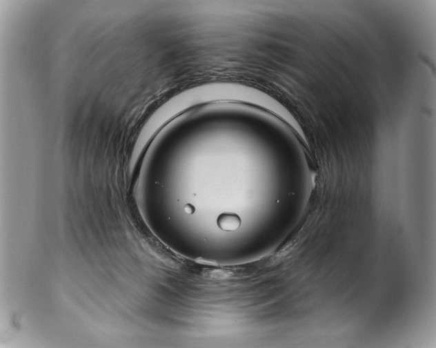 X0000102820180200808181254
